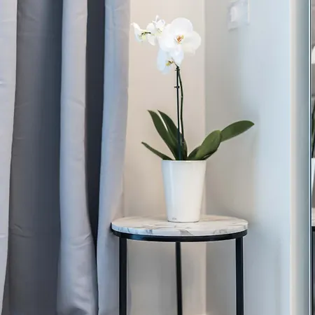 Moscova Luxury New Mailand